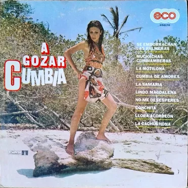 A gozar cumbia by Varios Intérpretes - album cover