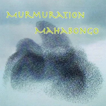 Murmuration