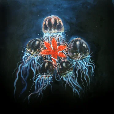 Tide Pools