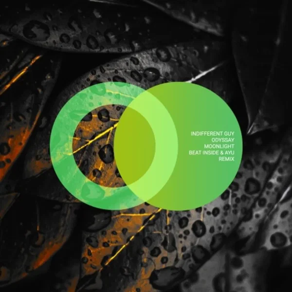 Moonlight (Beat Inside & AYU (UA) Remix)