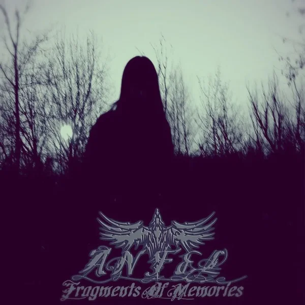 Fragments of Memories