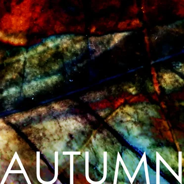 AUTUMN o4 by and all was bright - album cover