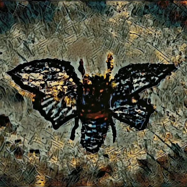 Thin Rusty Wings