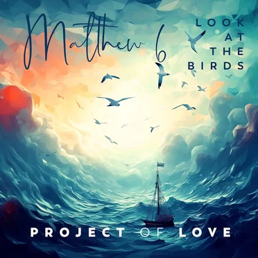 Matthew 6 - Look at the Birds by Project Of Love - album cover