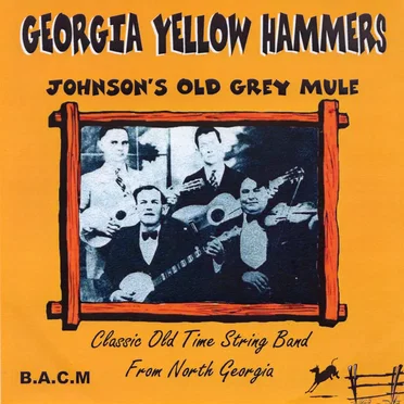 Johnson's Old Grey Mule by Georgia Yellow Hammers - album cover
