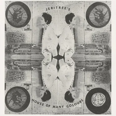 Jeritree’s House of Many Colours by Jeritree - album cover