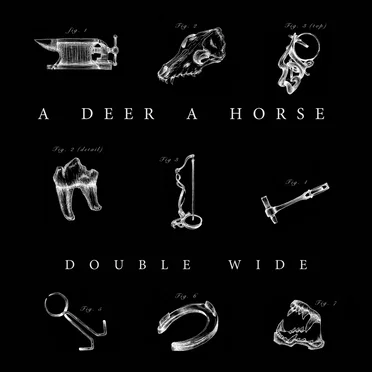 Double Wide by A Deer A Horse - album cover