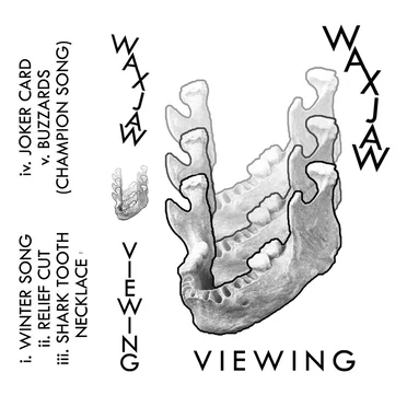 Viewing