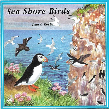 Oiseaux des rivages marins / Sea Shore Birds