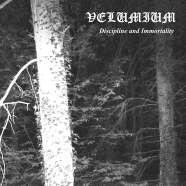 Discipline and Immortality by Velumium - album cover