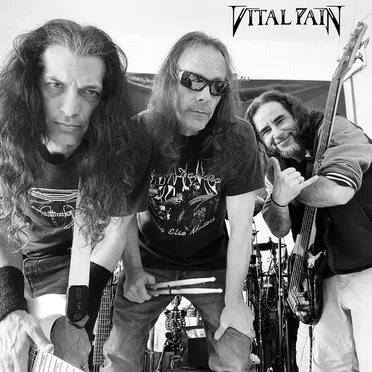 Vigilance by Vital Pain - album cover