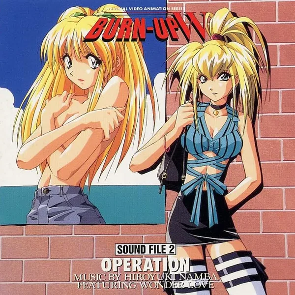 BURN-UP W SOUND FILE 2 OPERATION