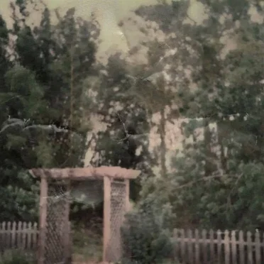 Backyard Cemetery: Revisited