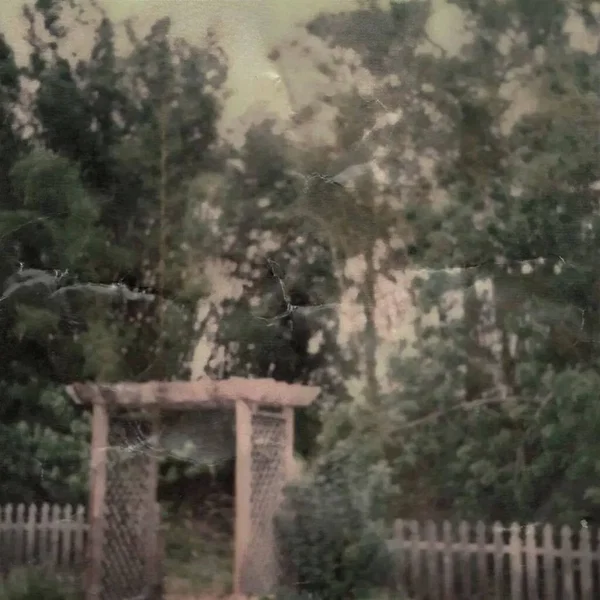 Backyard Cemetery: Revisited