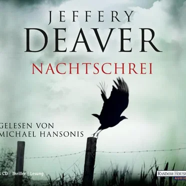 Nachtschrei by Jeffery Deaver - album cover