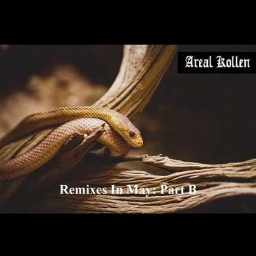 Remixes in May: Part B