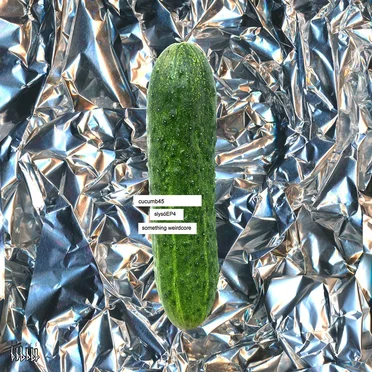 Slysó EP4 Something Weirdcore by Cucumb45 - album cover