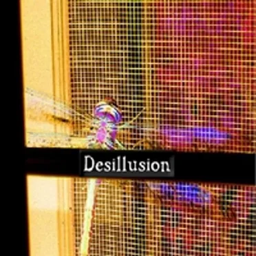 Blasphaesthetic by Desillusion - album cover
