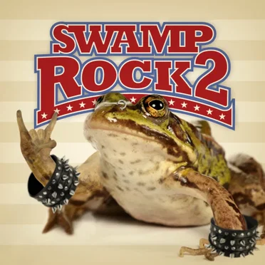 Swamp Rock 2 by Various Artists - album cover