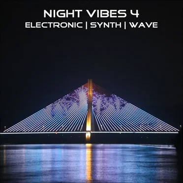 Night Vibes 4 by Various Artists - album cover