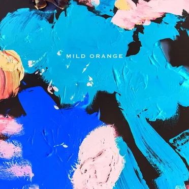 Mild Orange by Mild Orange - album cover
