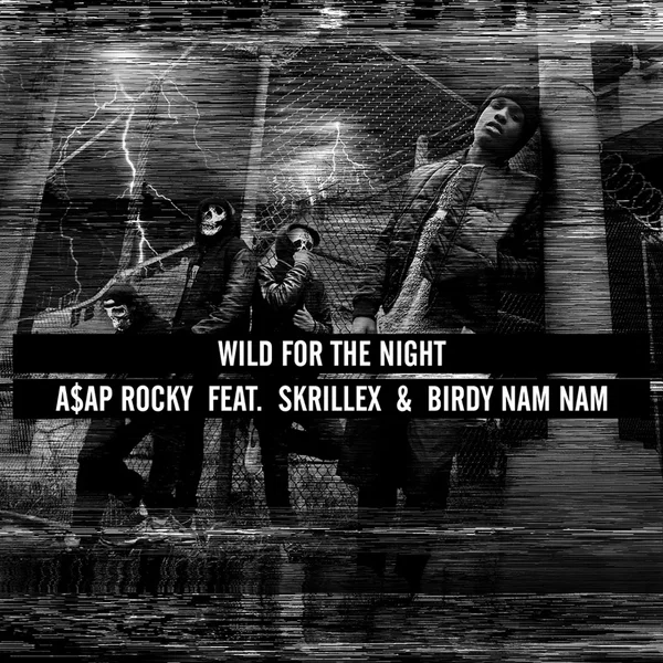 Wild for the Night