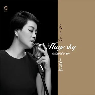 天之大 by 毛阿敏 - album cover