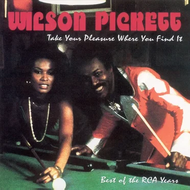 Take Your Pleasure Where You Find It: Best of the RCA Years