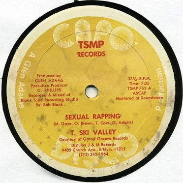 Sexual Rapping by T-Ski Valley - album cover