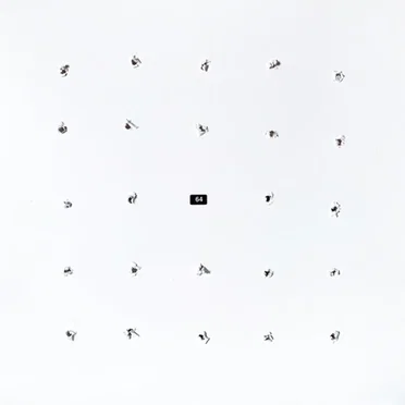 SPLIT SERIES #24