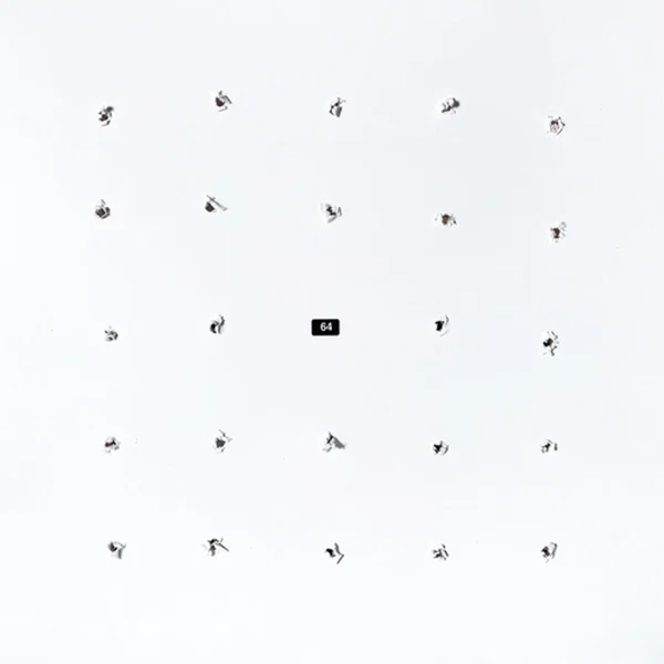 SPLIT SERIES #24