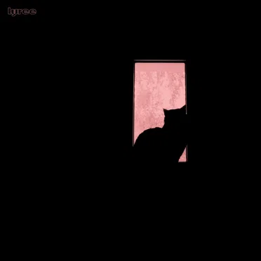 Sehnsucht by Various Artists - album cover