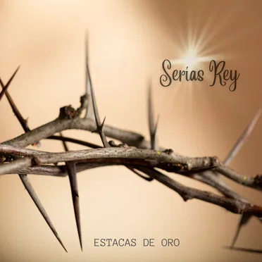 Serias Rey by Estacas de Oro - album cover