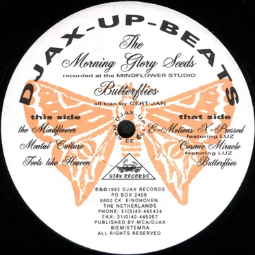 Butterflies by The Morning Glory Seeds - album cover