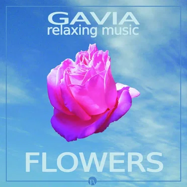 Gavia
