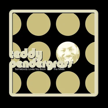 Somebody Loves You Back: The Mixes