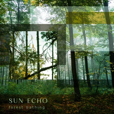 Forest Bathing