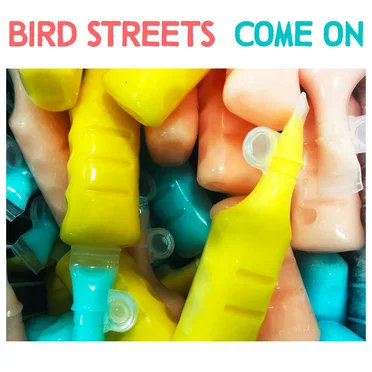 Come On by Bird Streets - album cover