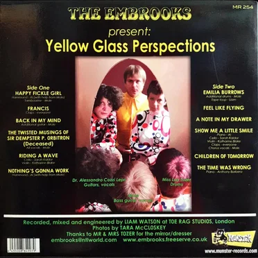 Yellow Glass Perspections by The Embrooks - album cover