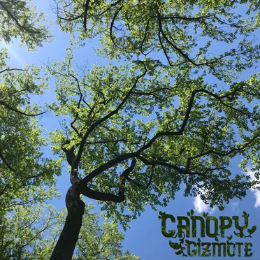 Canopy