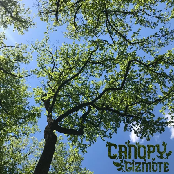 Canopy