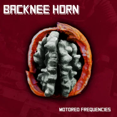 Backnee Horn