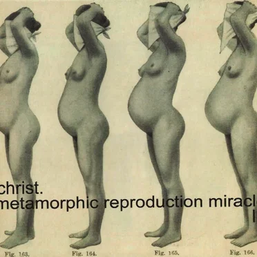 Metamorphic Reproduction Miracle