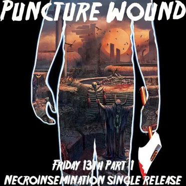 Necroinsemination by Puncture Wound - album cover
