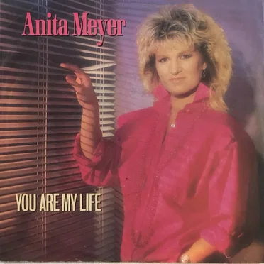 You Are My Life / Never Gonna Let You Down