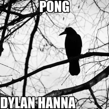 Pong