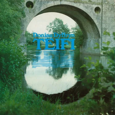 Doniau Dyffryn Teifi by Various Artists - album cover
