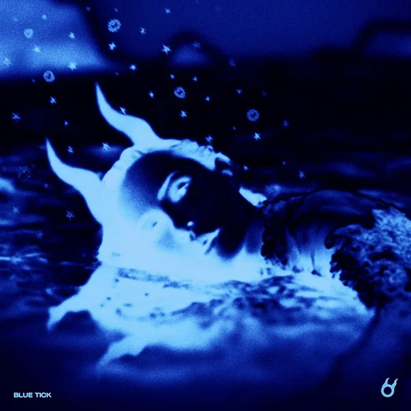 Blue Tick