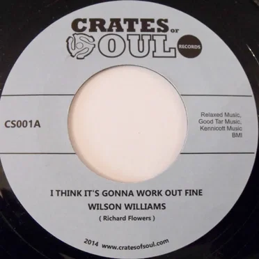 I Think It’s Gonna Work Out Fine / I Like Being In Love With You by Wilson Williams - album cover