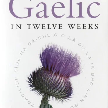 Scottish Gaelic in Twelve Weeks by Roibeard Ó Maolaigh - album cover